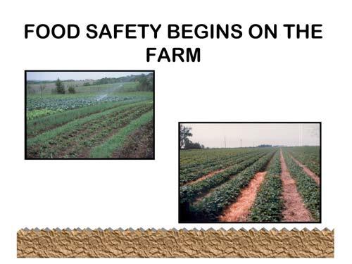 Food safety begins on the farm.