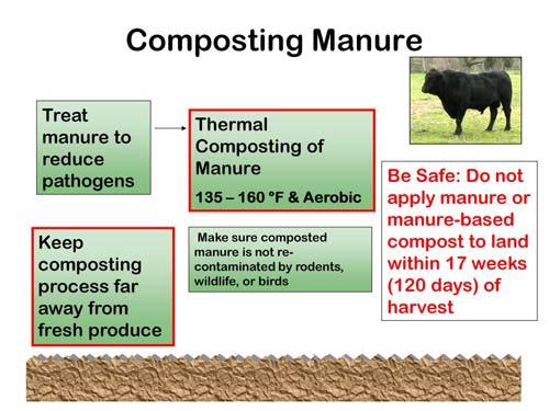 Creating compost for future application to production fields is excellent, just be sure to keep the compost pile away from fresh produce, especially if any manure is used in the composting process.