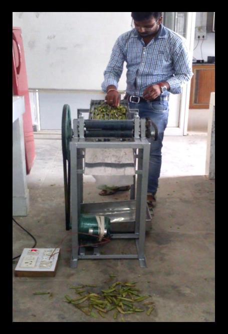Fig.12 Green pea depoding machine during depoding operation S. No. Depoding capacity (kg/hr) Table.