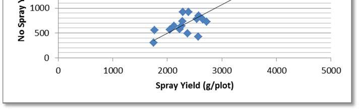Mean Yield by Treatment in 2014 Least Sq Mean yields Treatment (g/plot) Std Error Mean No Spray 741 52 732 Spray 2426 52 2437 Mean Yield by Genotype in 2014 Genotype L S Means (g/plot) Std Error