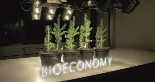 In Finland Tornator is actively developing bioeconomy innovations that consider on site activities in the forests.