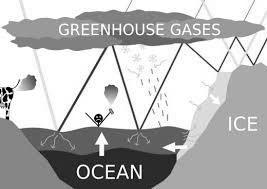 (d) How does the increased level of GHGs affecting the temperature of the earth? The increased level of GHGs including carbon dioxide leads to enhance green house effect as these gases trap heat.