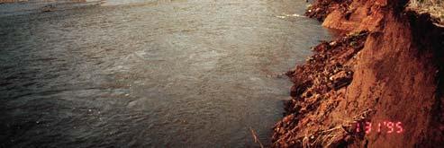 streambanks caused by inadequate non-woody Mud or sediment filled