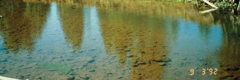 Unstable streambanks caused by inadequate non-woody Mud or sediment filled