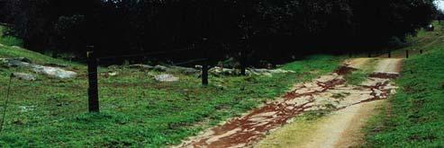 Roads Surface erosion from dirt roads Surface erosion from