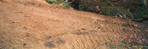 roadside drainage ditches Roads draining directly into streams Sediment