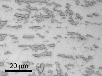 Figure 6 Optical micrograph of the