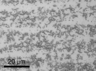 The initial microstructure of the as-reflow solder/copper joint specimen is shown in Figure 10.