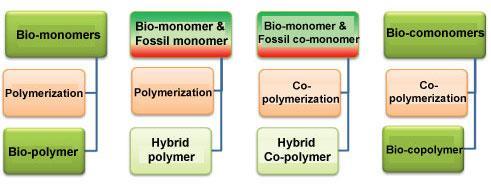 Bio-monomers and Bio-blocks: Deciding