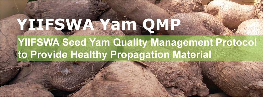 Revised Seed Yam Quality Standards Procedures to ensure healthy (free from pests and