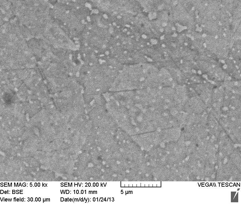 microstructure of as-wrought AISI 420: (a) at