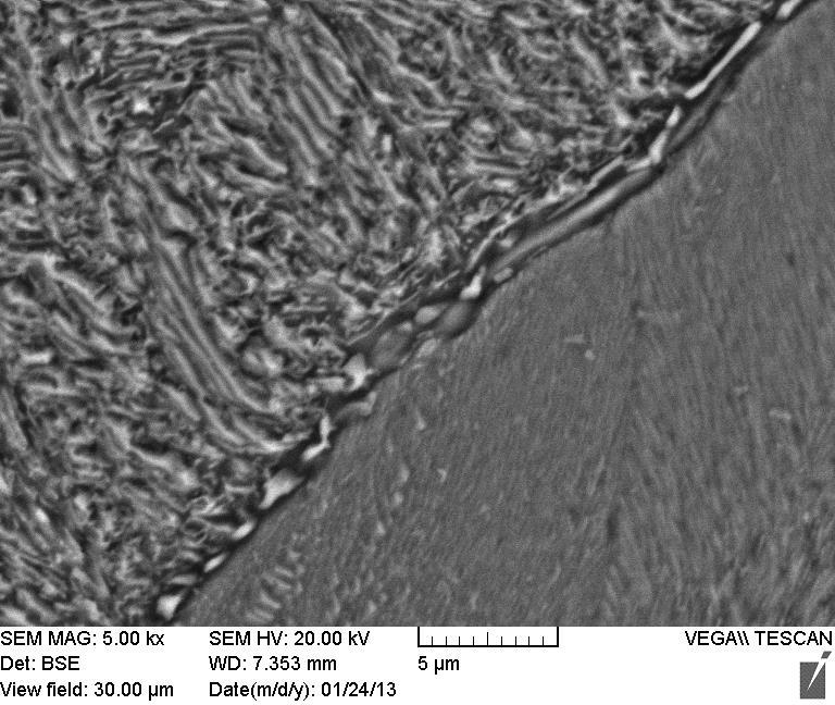 microstructure of heat-treated AISI 420: (a) at