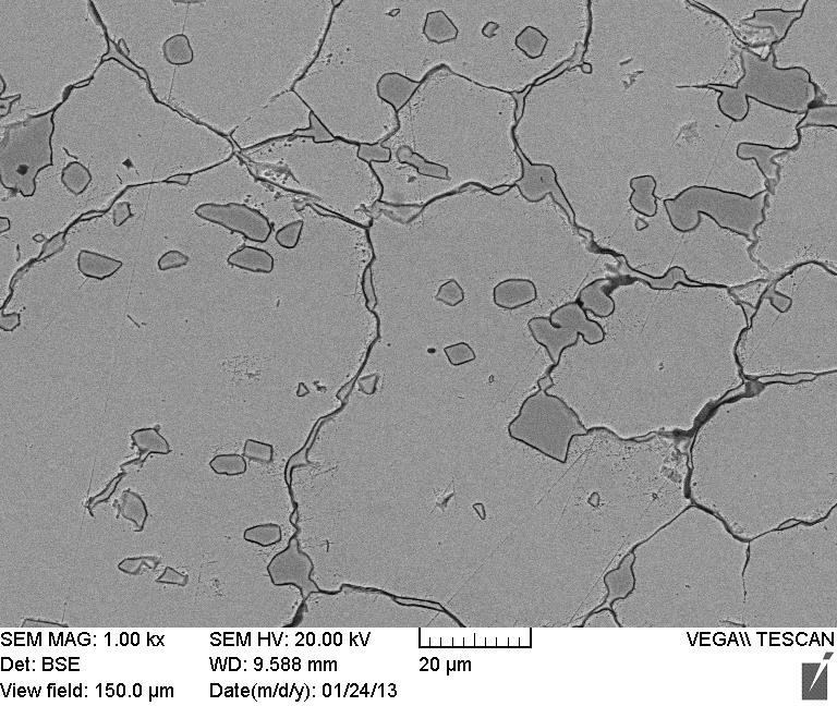 microstructure of as-wrought AISI 440C: (a)