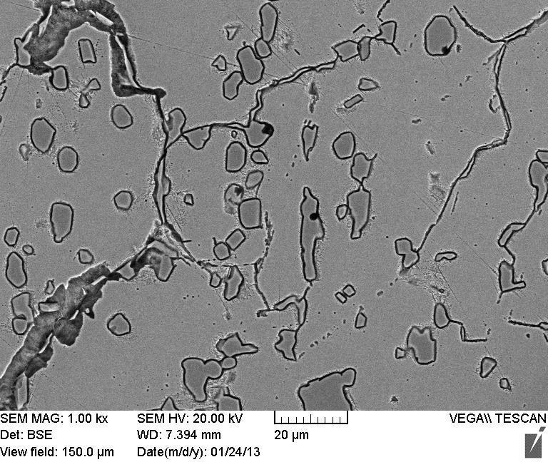 microstructure of heat-treated AISI 440C: (a)