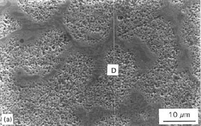 Figure 2-5: SEM micrographs and EDX analyses of as-cast Stellite 6: (a) EDX analysis for dendritic