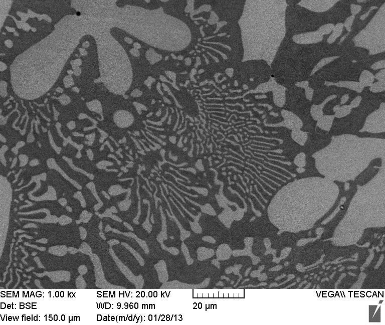 Primary Laves phase (a) Co solid solution (b) Figure 4-5: SEM images of