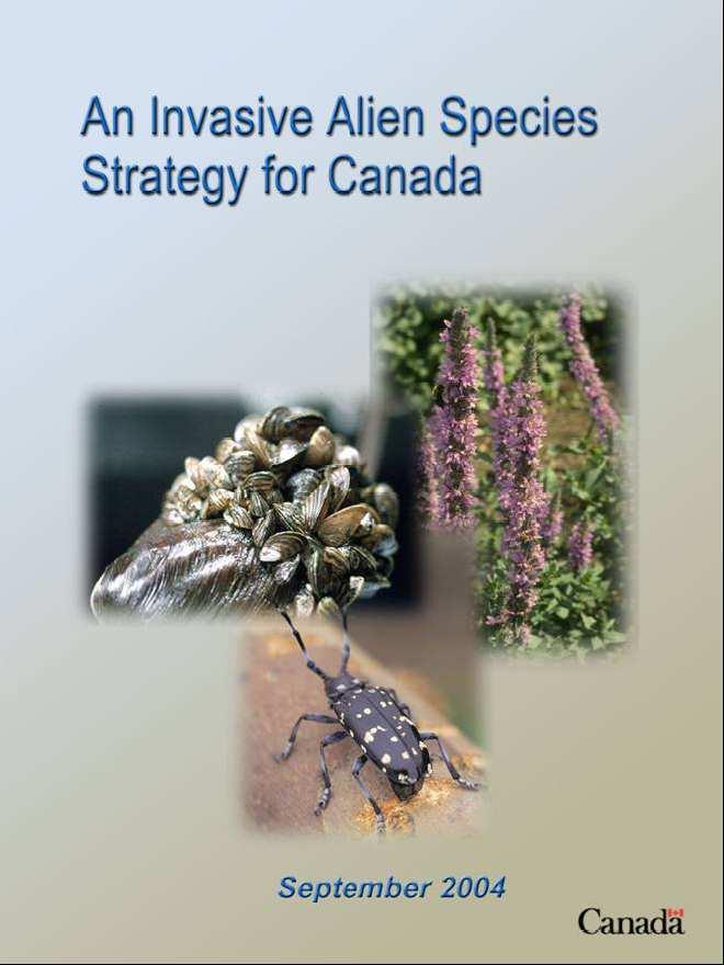 Introduction In 2004 Canada released a National Invasive Alien Species Strategy; Wildlife Division staff started to examine the issues associated