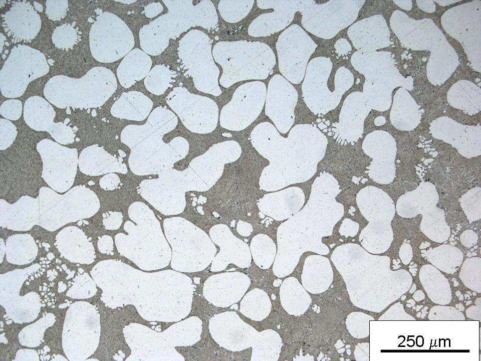 The second set of experiments was aimed to determine if this rapid heat treatment response is solely due to the unique globular microstructure that results from SSM processing.