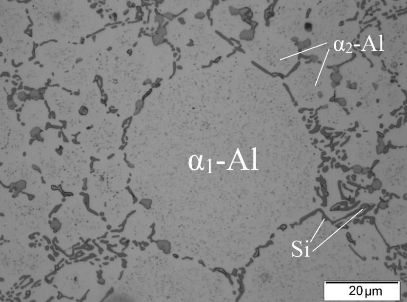 microstructure that fragmentation as well as spheroidization of Si eutectic particles during solution treatment resulted in smaller and rounded Si particles.