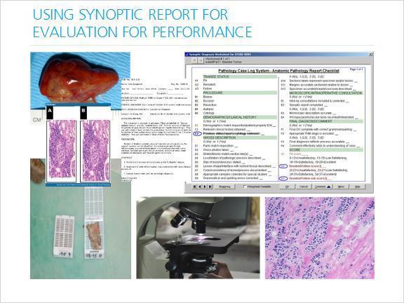 4.27 Using Synoptic Report