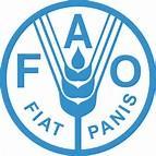 Development; FAO and WFP under