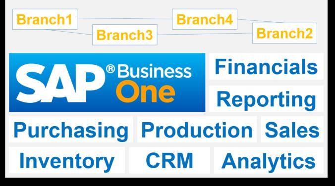 Multiple Branches/Business Units for SAP Business One Automates simple business processes in the same database Divides or separates one legal entity into different business units in the same database