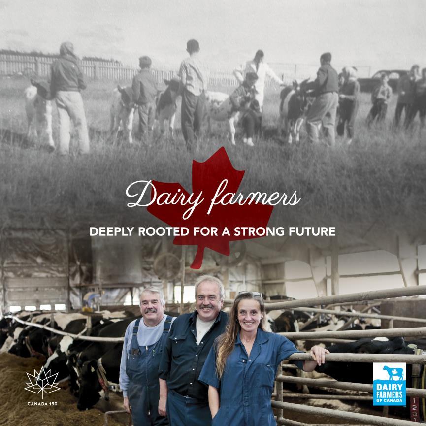 CANADA 150 Historical farm project Goal to highlight the history, contributions, and sustainability of dairy sector in