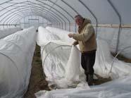 Climate Modifying your climate Temperature Protected structureshigh tunnels, greenhouses