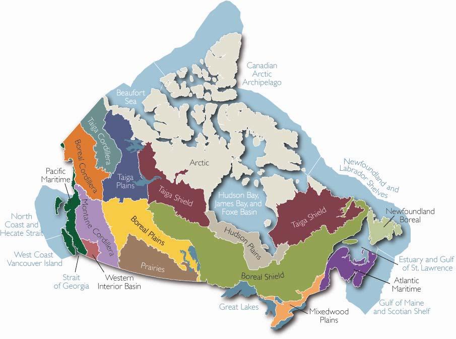 Ecological Classification System Ecozones + A slightly modified version of the Terrestrial Ecozones of Canada, described in the National Ecological Framework for Canada, 4 provided the ecosystem