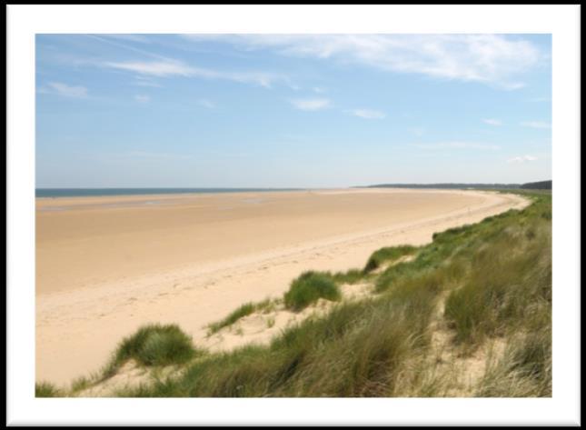Working in West Norfolk In West Norfolk, you will find everything you need for a great quality of life.