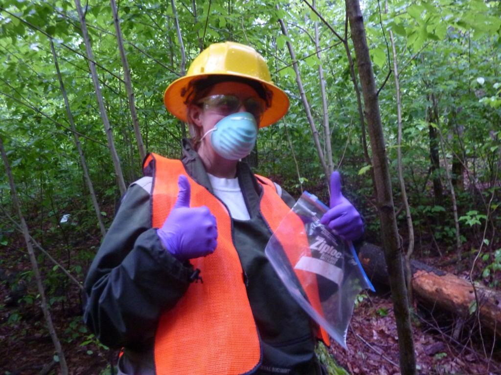 Left: Allyson Degrassi work getting ready to check traps and handle small mammals.
