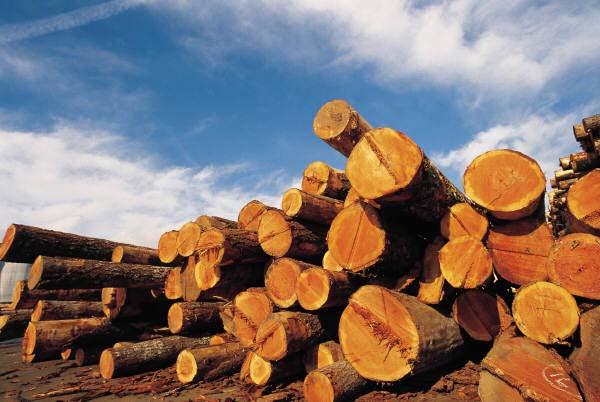 Manufacturing Processes Primary processes Turn raw materials into standard stock (timber cut into