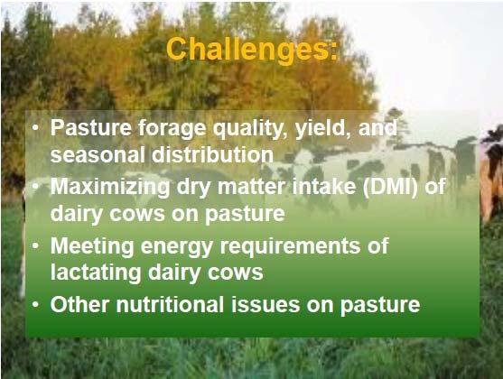 are the challenges to a new grazing dairy farm Land resources that are accessible Feeding decisions Do hayfields make good pastures?