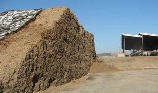 This section focuses on the importance of good face management practices to minimize DM losses and describes current silage management practices in