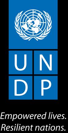 EVALUATION THE ROLE OF UNDP IN