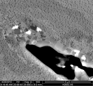 Figure 5: Recrystallization grains are present along gamma grain boundaries and grain boundary cracks and evidence of the onset of rafting of the gamma prime phase after creep deformation in alloy