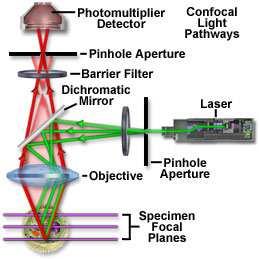microscopy is a technique for obtaining high-resolution optical images with depth selectivity.