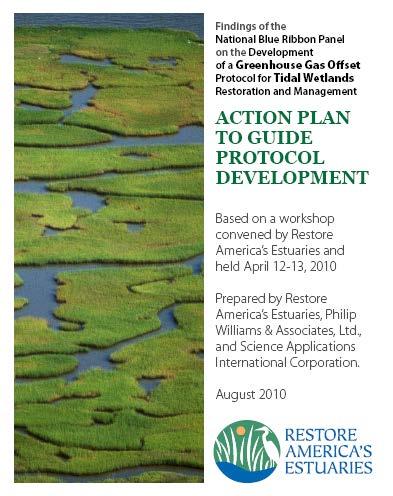 Foundational Issues Blue Ribbon Panel: Action Plan Defining Project Types Eligibility Quantifying GHG Reductions Permanence Regional Case Studies Managed