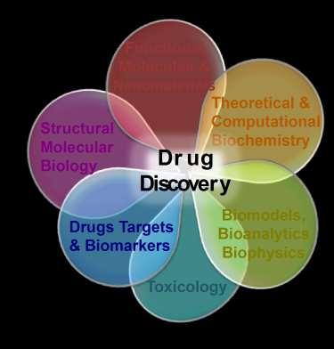 Drug Discovery Chemistry: Design, synthesis and characterization of novel molecules Structural Biology: determination of 3D structures of target proteins and structural