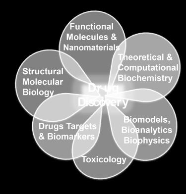 Computational Sciences: Structure-based and rational DD and clarification of enzymatic mechanisms crucial to fully characterize the target of interest.