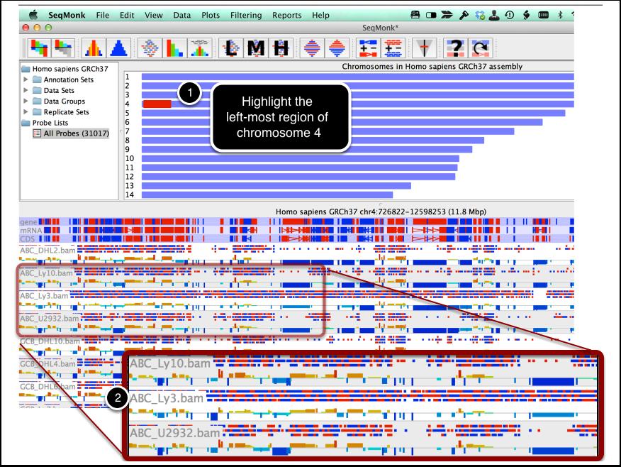 QC Inspection of Reads We will do a visual inspection on the imported samples 1. At the Chromosome Panel, use your mouse to highlight the left most region of Chromosome 4. 2.