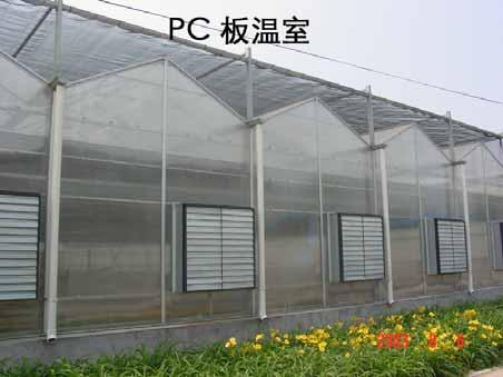 greenhouses for vegetable production