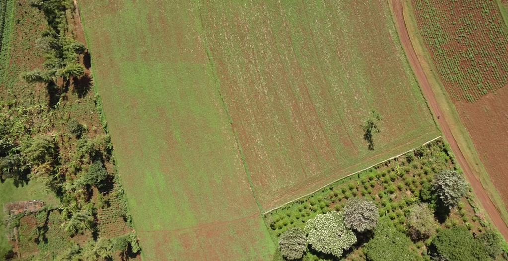 Eyes in the Sky for African Agriculture, Water Resources, and Urban Planning APRIL 2018 Exploring How Advances in Drone-Assisted Imaging and Mapping Services Can Bring New Income and Efficiency to