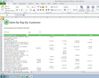 Sales by Rep by Customer Summary report displaying Sales values by Rep by Customer for a selected range of 12 months.