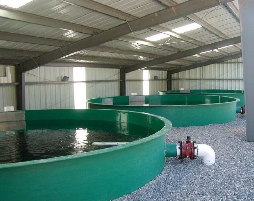 Partial Reuse Systems for Circular Tanks Ideal for PRAS Excellent mixing of new oxygenated water Equal utilization
