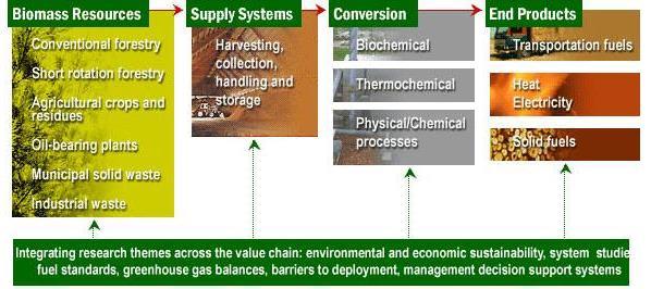 sound, socially accepted and cost-competitive bioenergy on a sustainable basis, thus providing