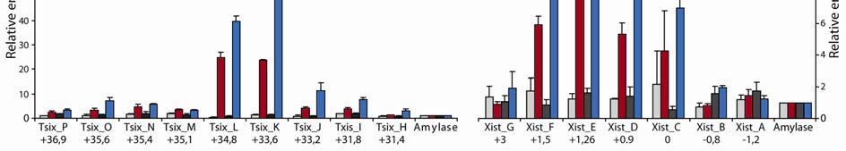 Identified sequence reads were plotted relative to genomic location and visualized using UCSC Genome Browser. Location and transcription start sites (arrows) of the Tsix and Xist loci are indicated.