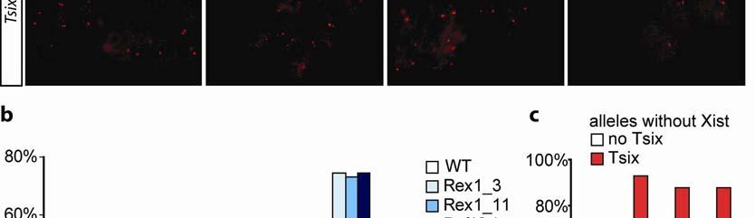 day-3-differentiated female WT, two Rex1 over-expressing transgenic ESC lines and