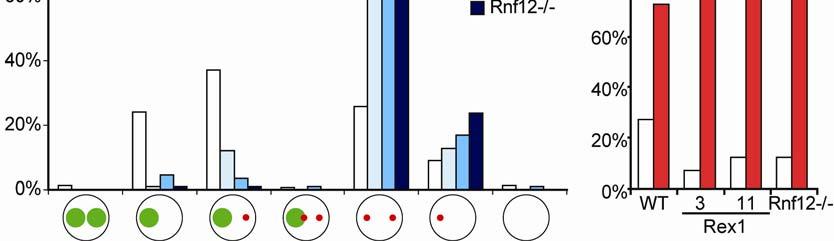b, Quantification of the Xist and Tsix RNA-FISH experiment described in (a).