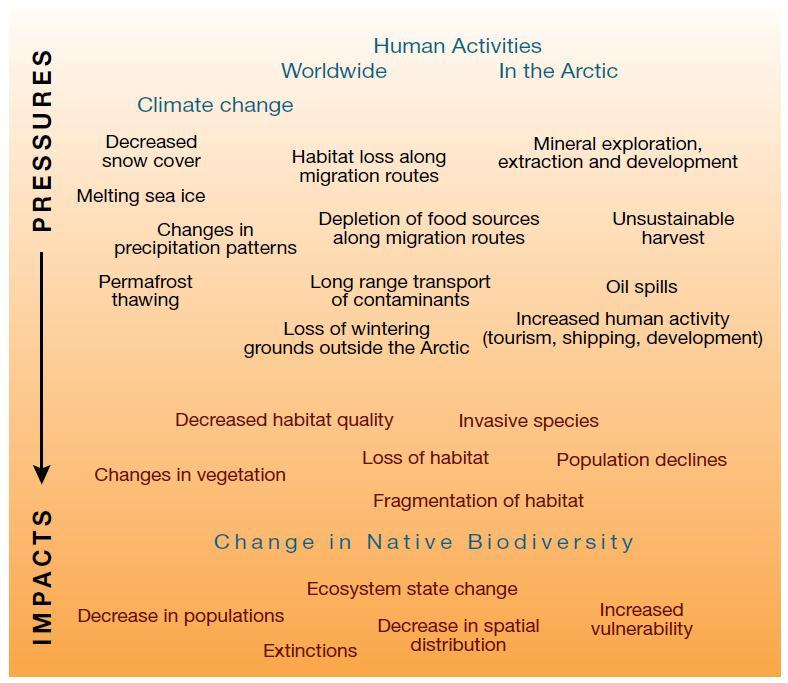 Climate change in Bristol Bay watersheds Arctic Biodiversity Trends 2010-Selected